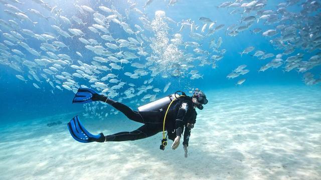 怎样在海底捞用餐最划算？游戏画面